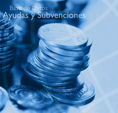 ayudasysubvenciones ayudasysubvenciones