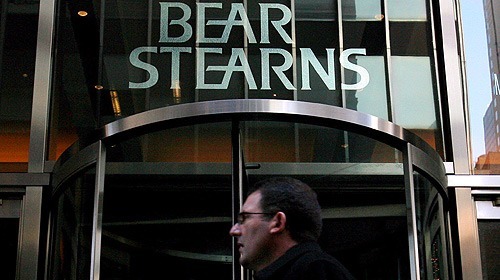 bear