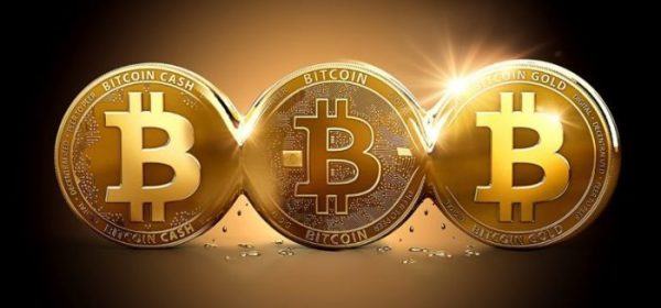Riesgos y precauciones a tomar en cuenta a la hora de hacer trading con Bitcoin Evolution