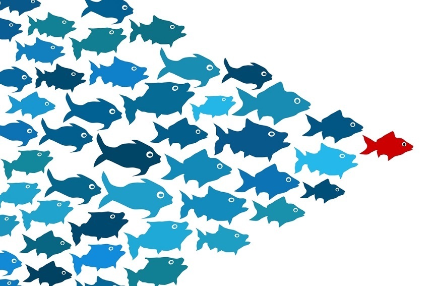 que-es-el-liderazgo-banco-de-peces