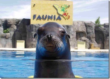 Faunia2 Faunia2