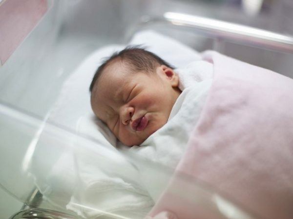 inscribir bebe registro