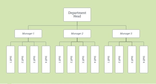 Organigrama de una empresa ¿Qué es? Así es como se jerarquiza una empresa